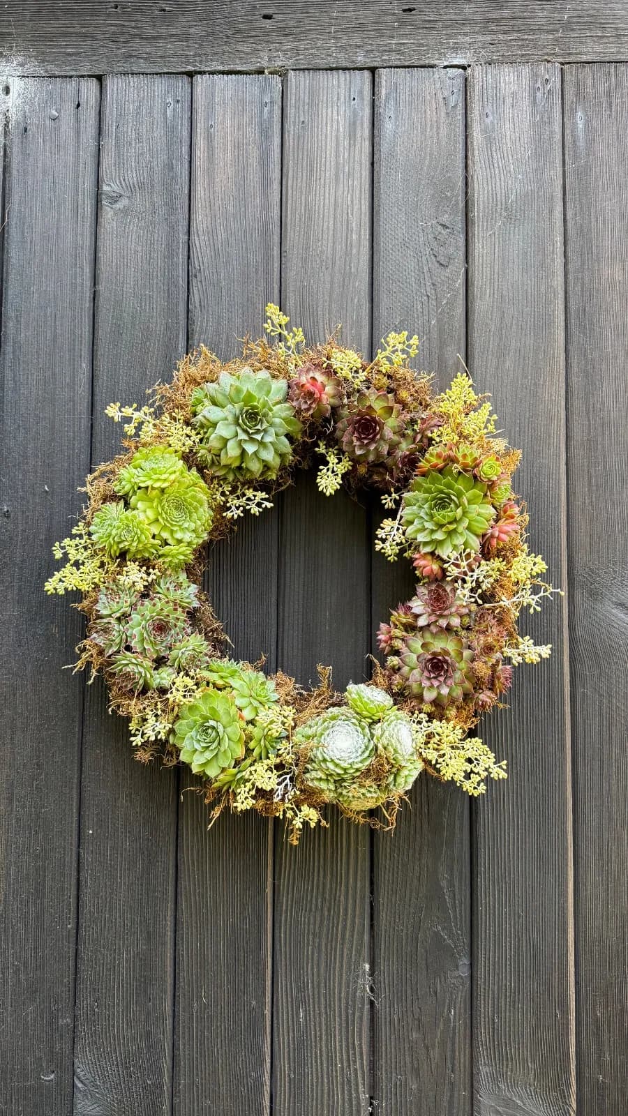 Living Wreath