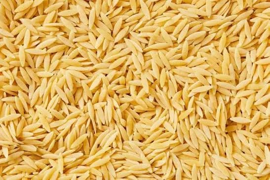 orzo