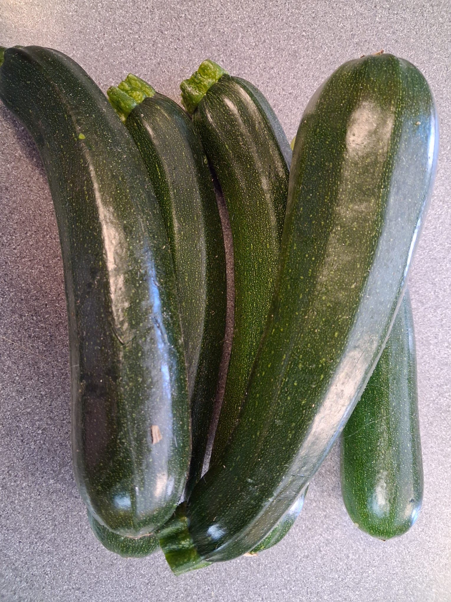 Courgette