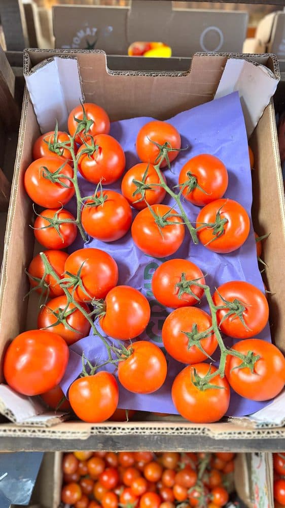 Vine Tomato