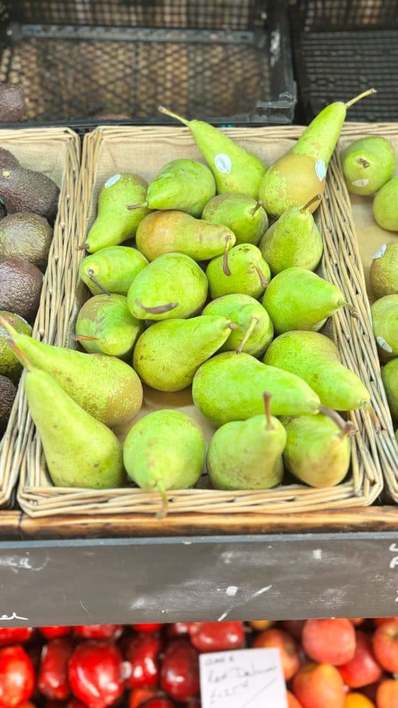 Conference Pear