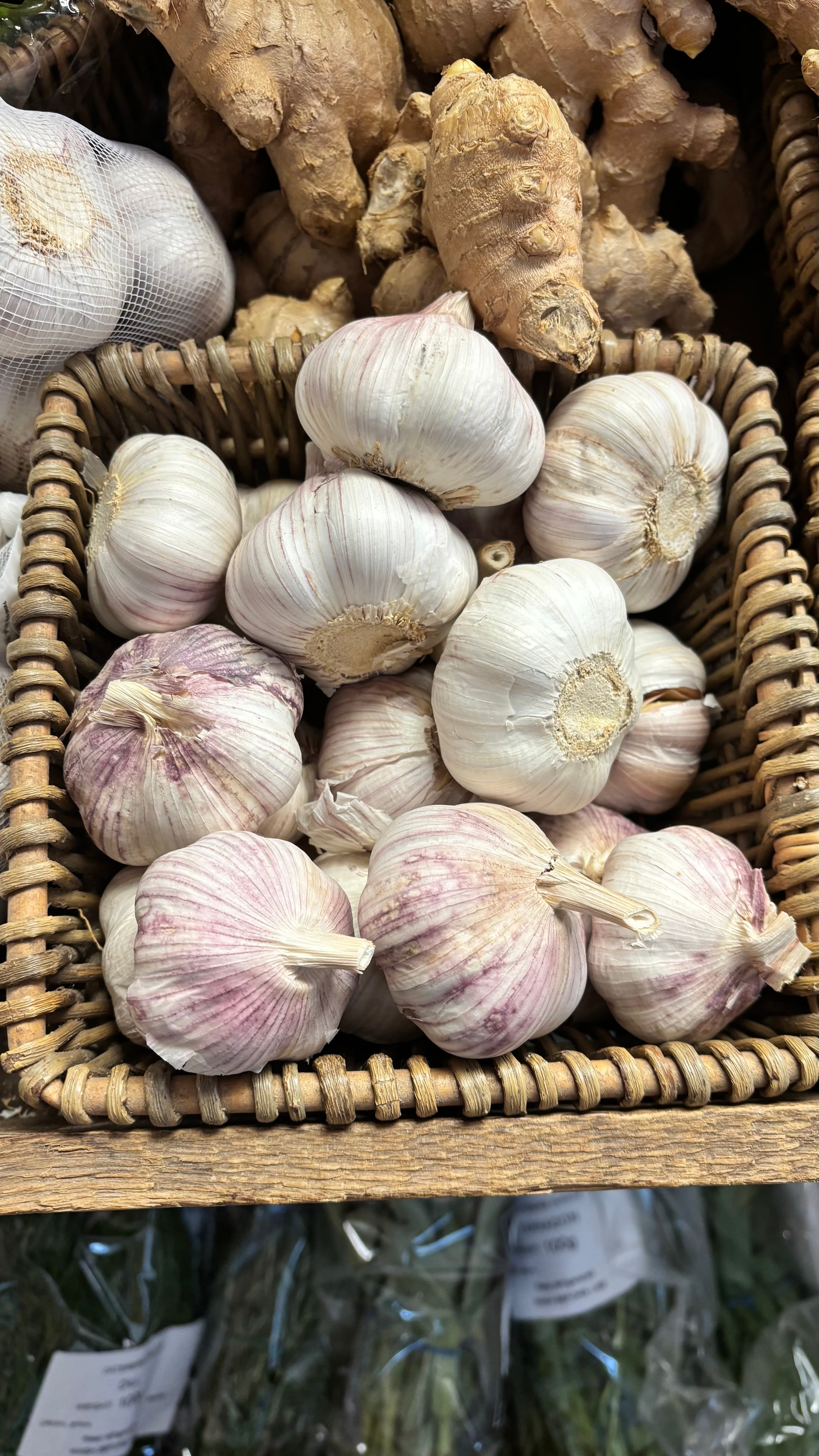 Garlic