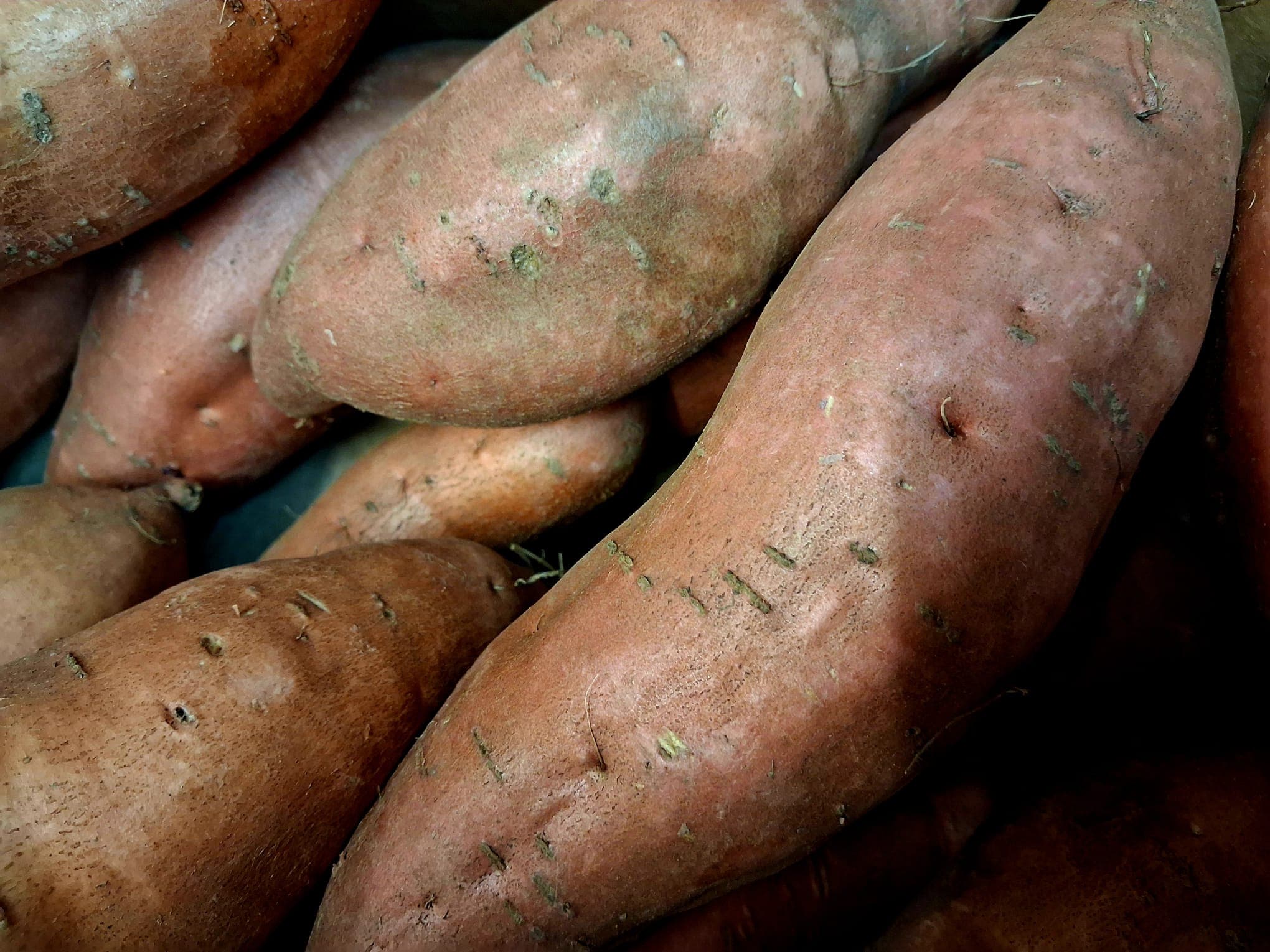 Sweet Potato