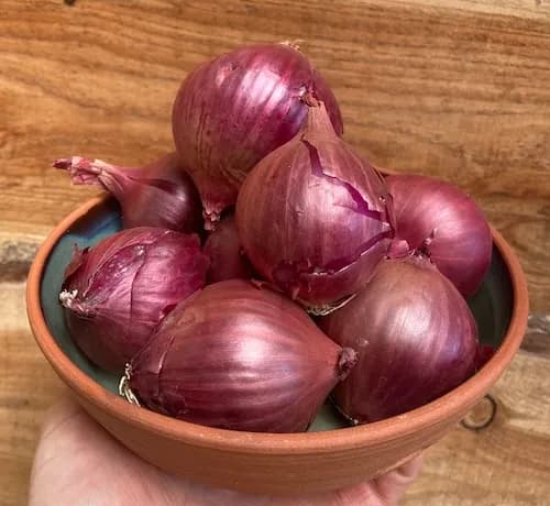 Red Onions