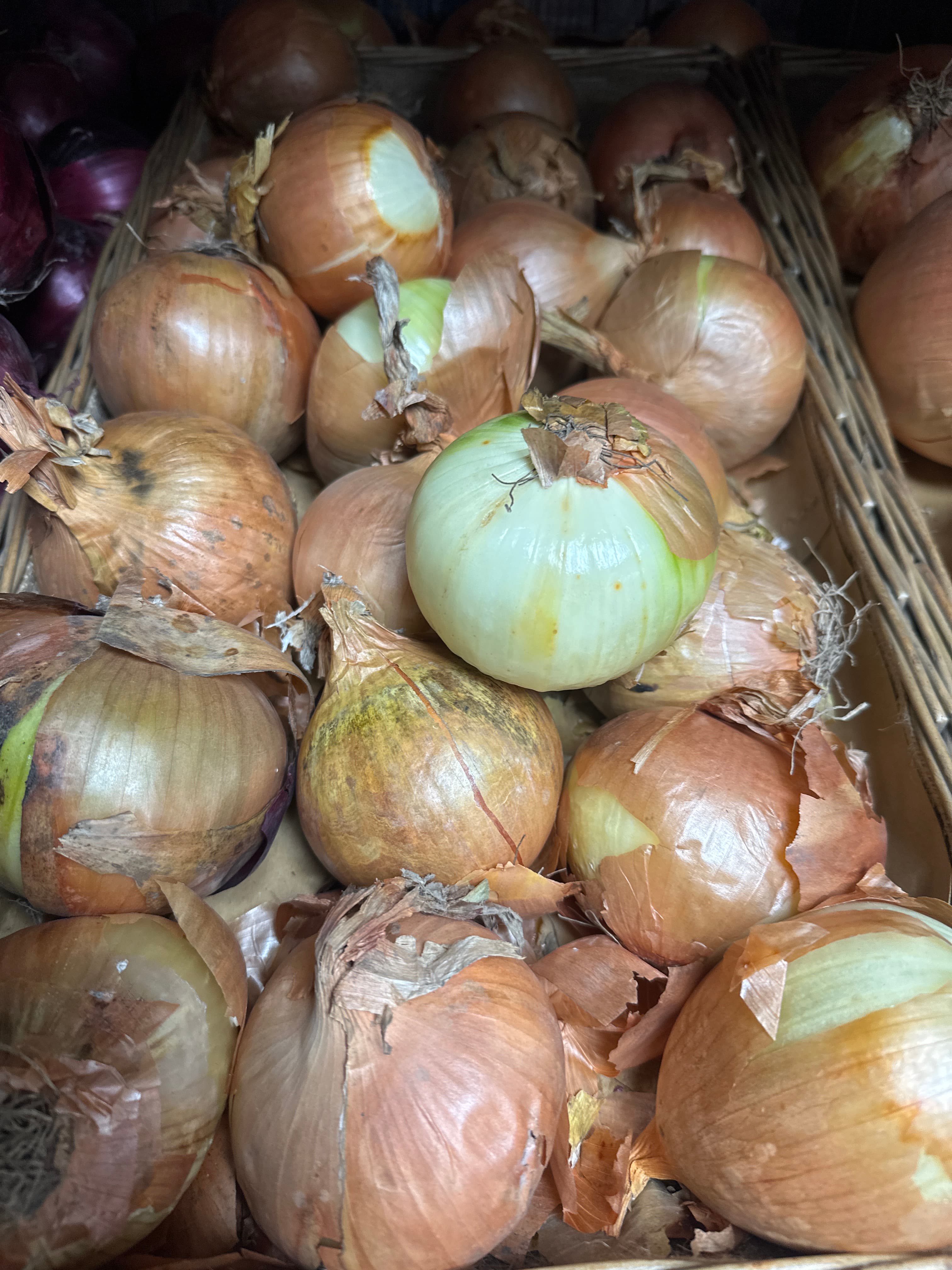 Cooking Onion