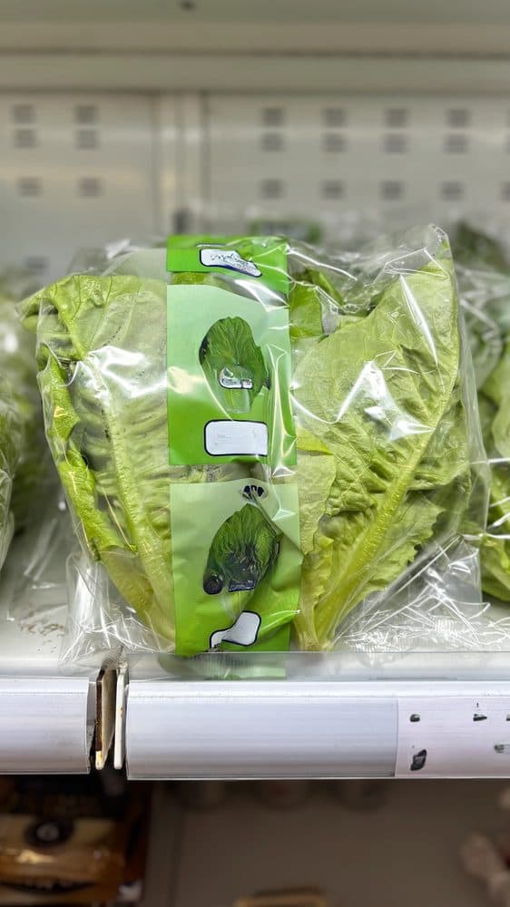 Little Gem Lettuce