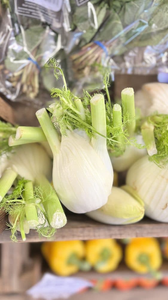Fennel