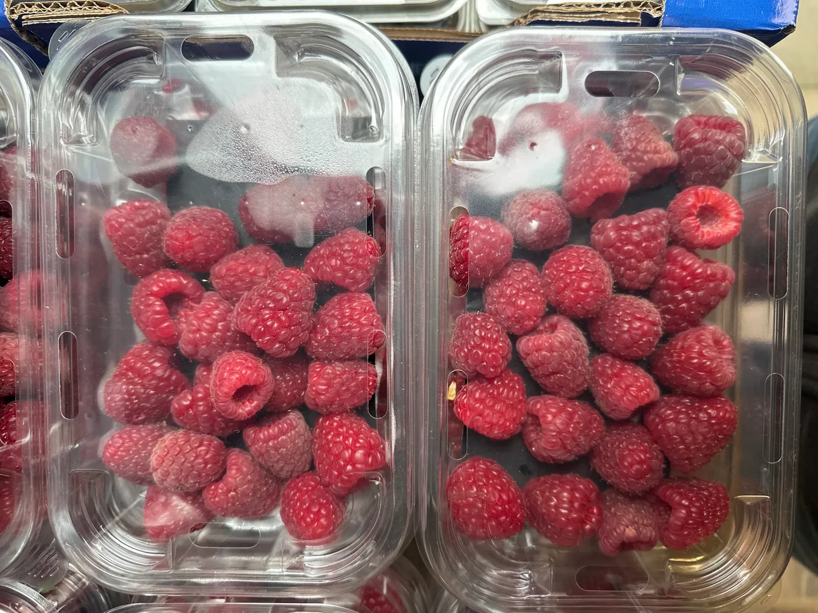 Lichfield Raspberry