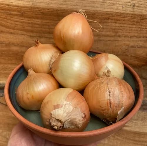 Onions