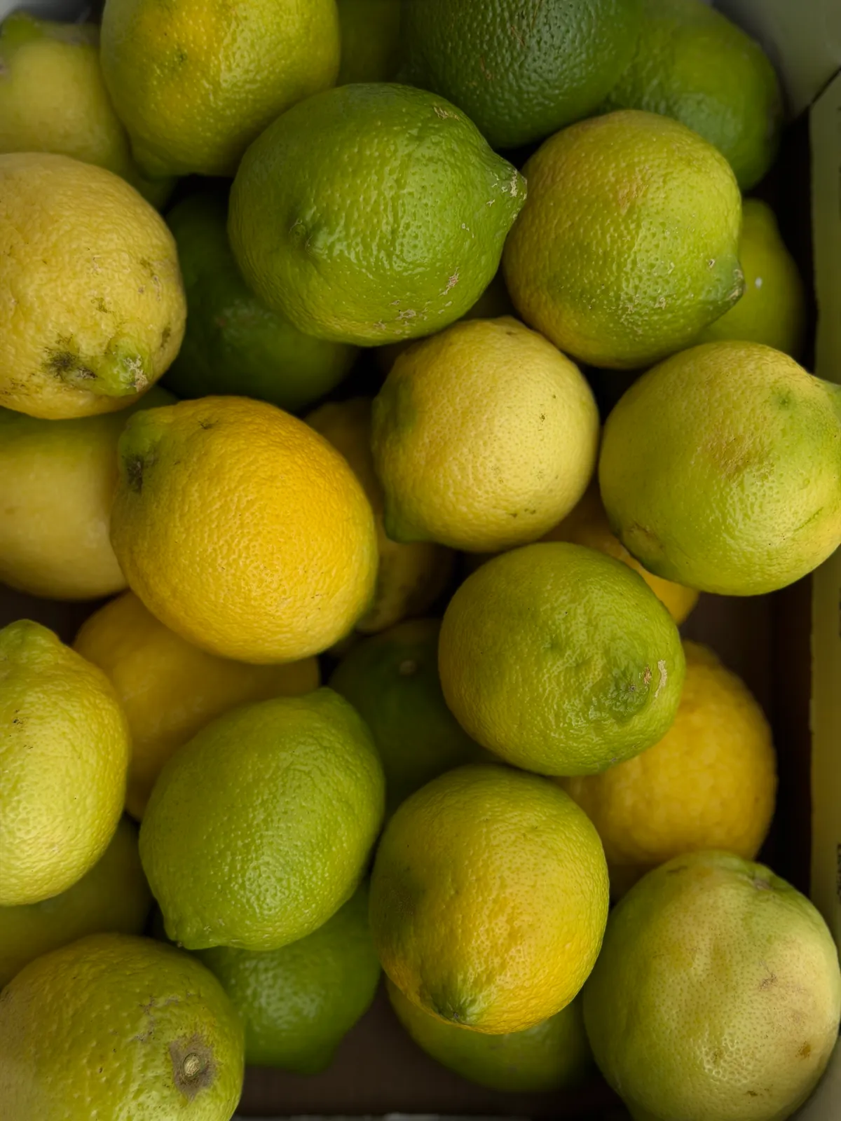 Organic Lemons