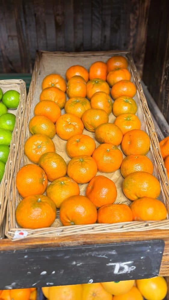 Satsuma