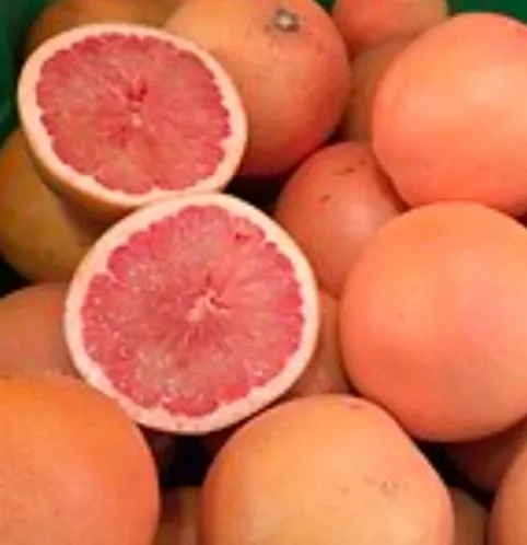 Star Ruby Grapefruit