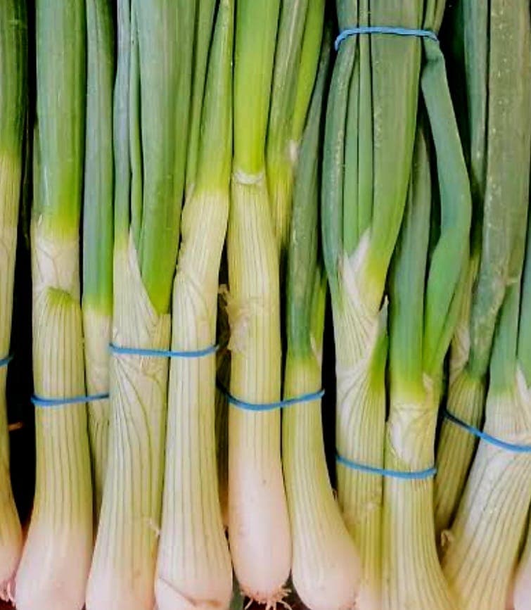 Spring Onions