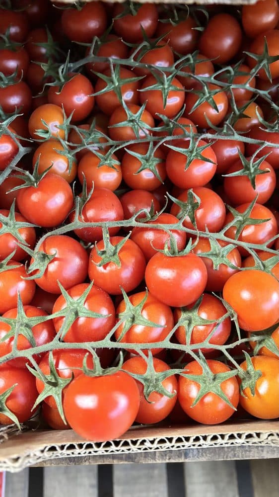 Cherry Vine Tomato