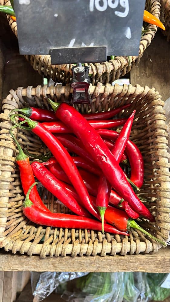 Red Chilli