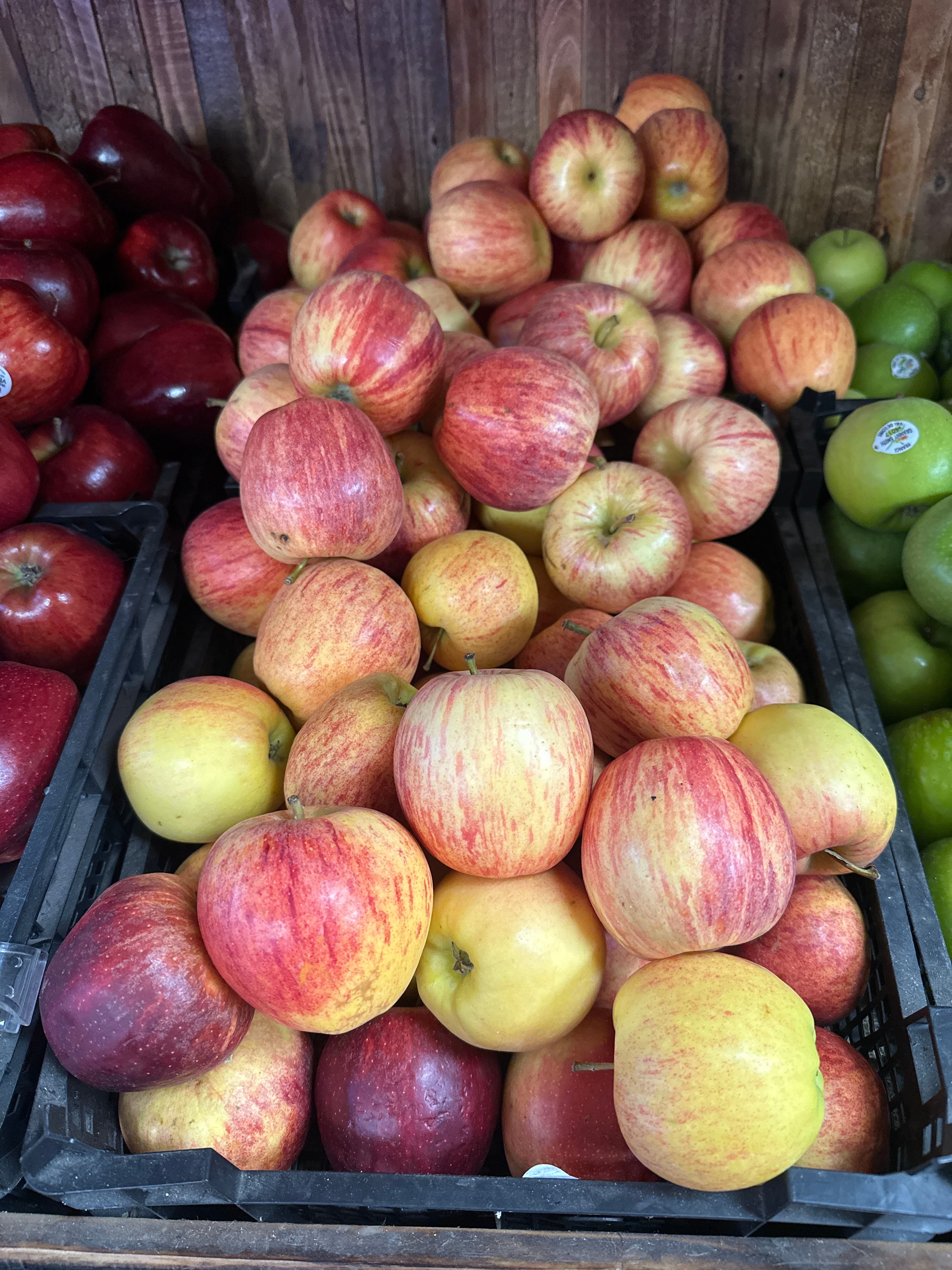 Royal Gala Apple