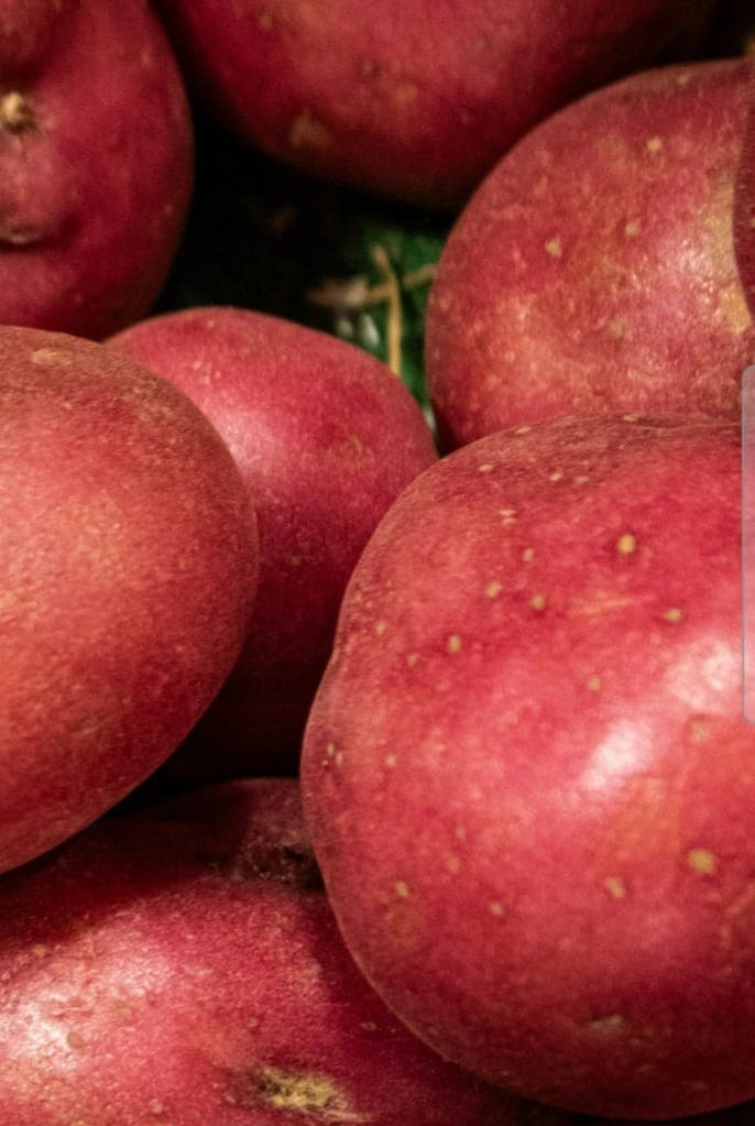 Washed Red Potatoes