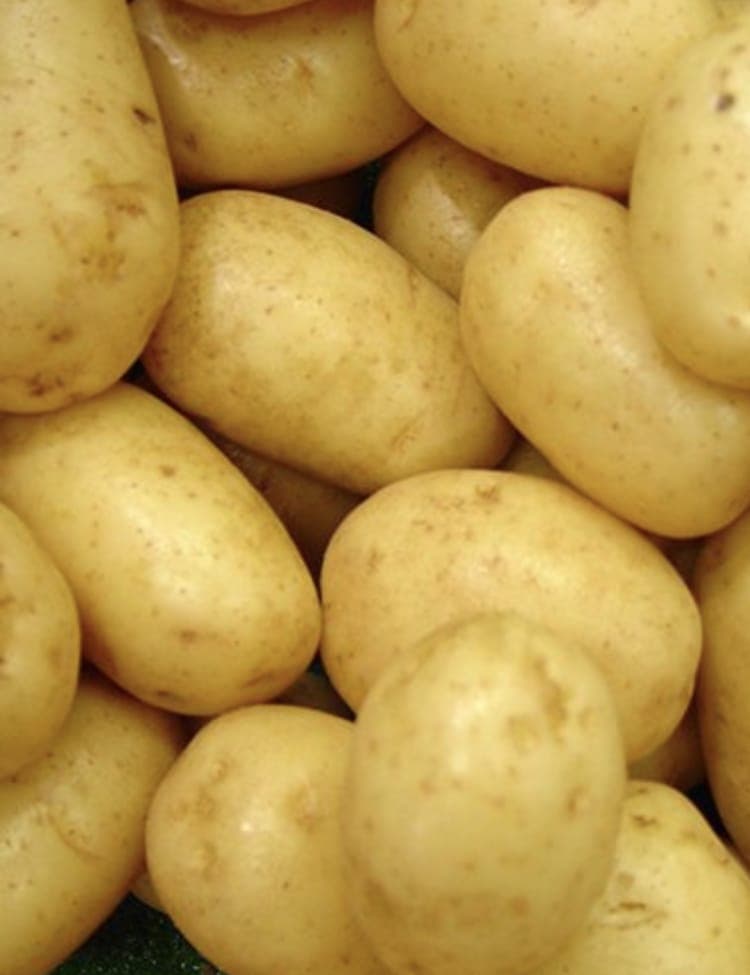 Jacket Potatoes
