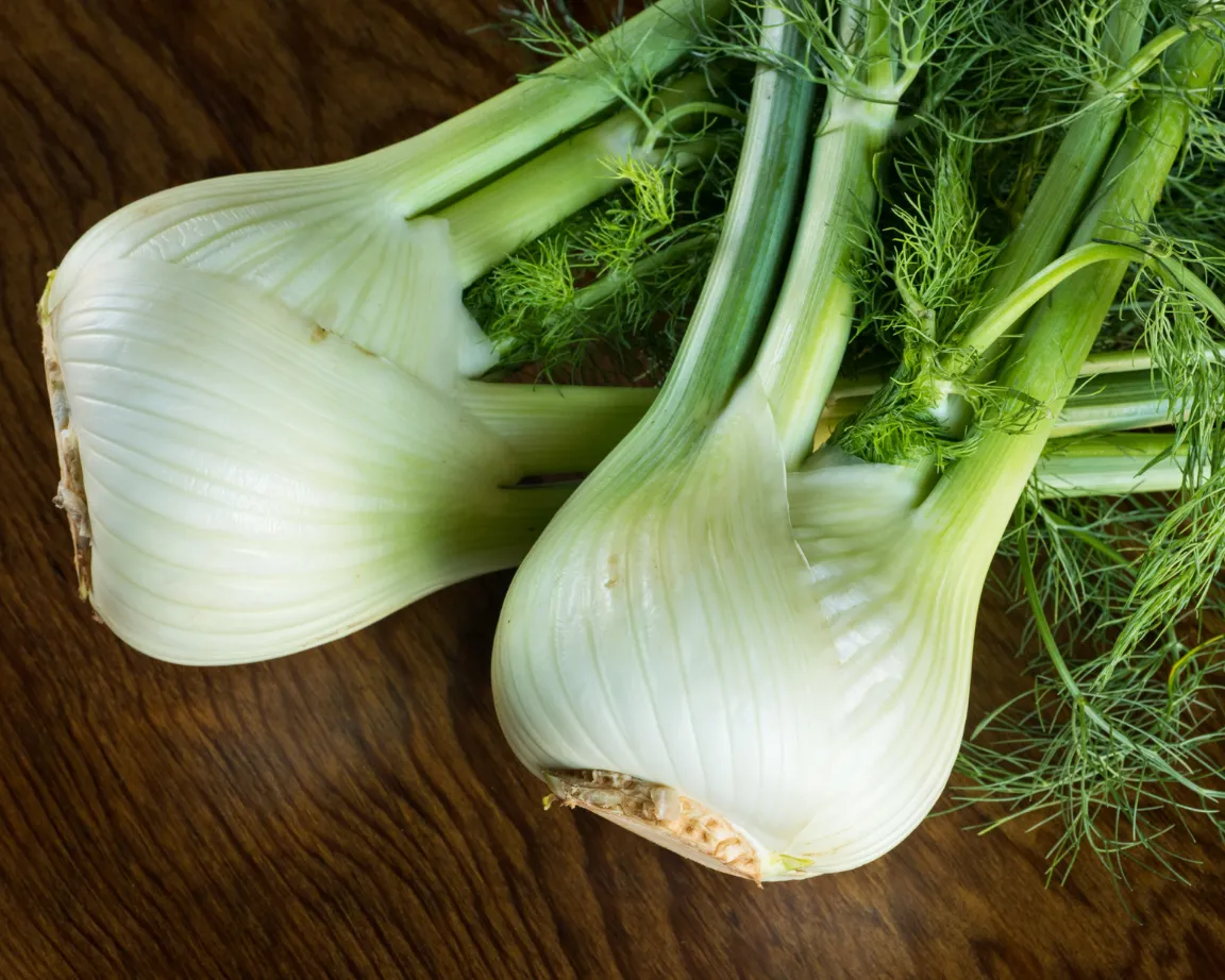 Fennel