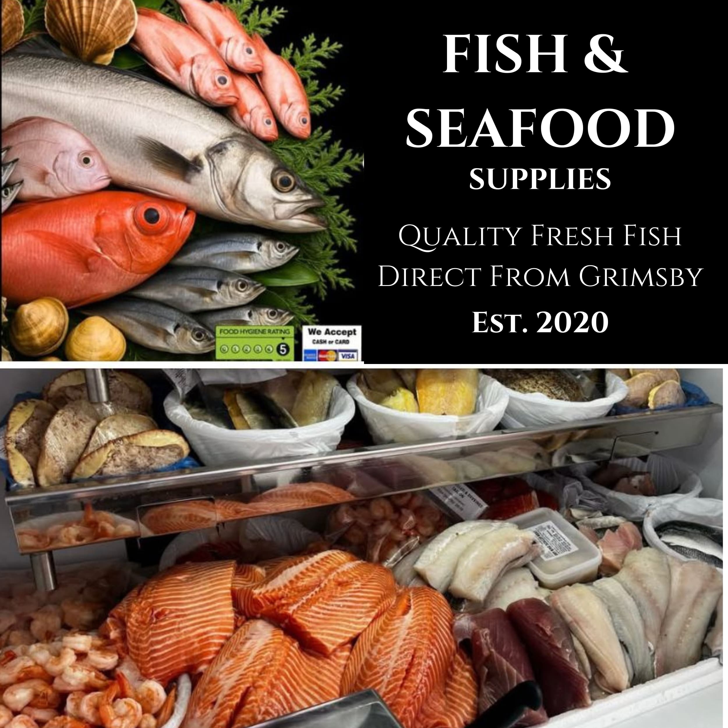 Fresh Fish & Seafood Sales Shaun Hannah