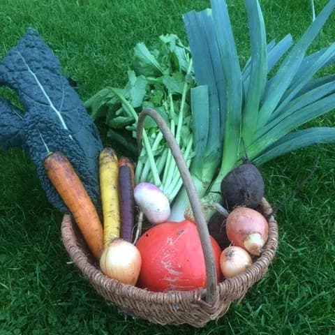Veg Box - Standard