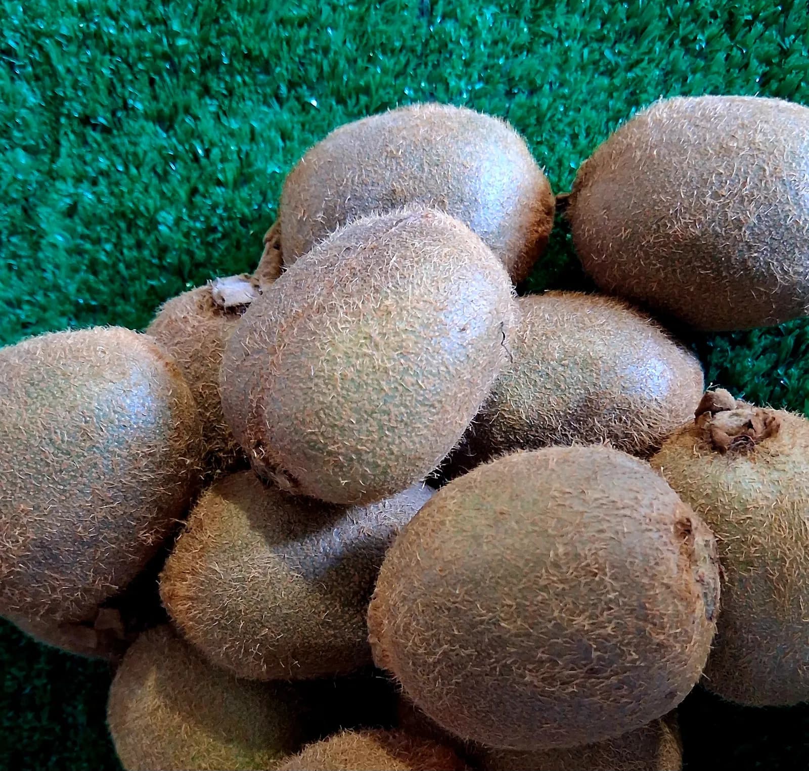 Kiwi