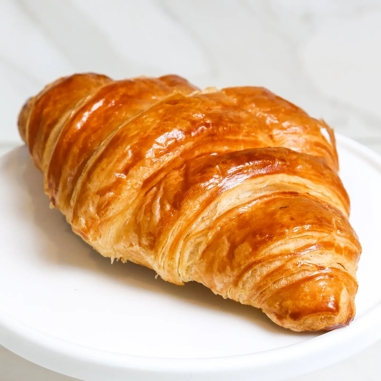 Welbeck Plain Croissant