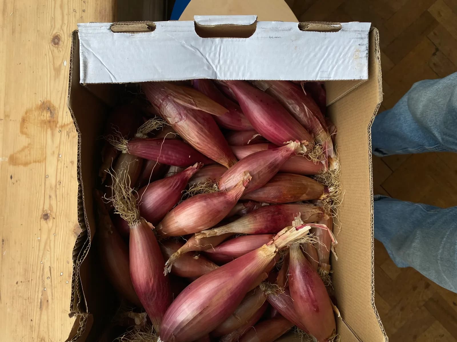 Organic English Cuisse de Poulet Shallots