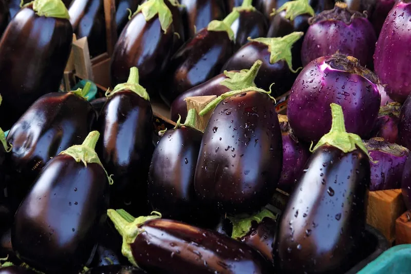 Aubergine -
