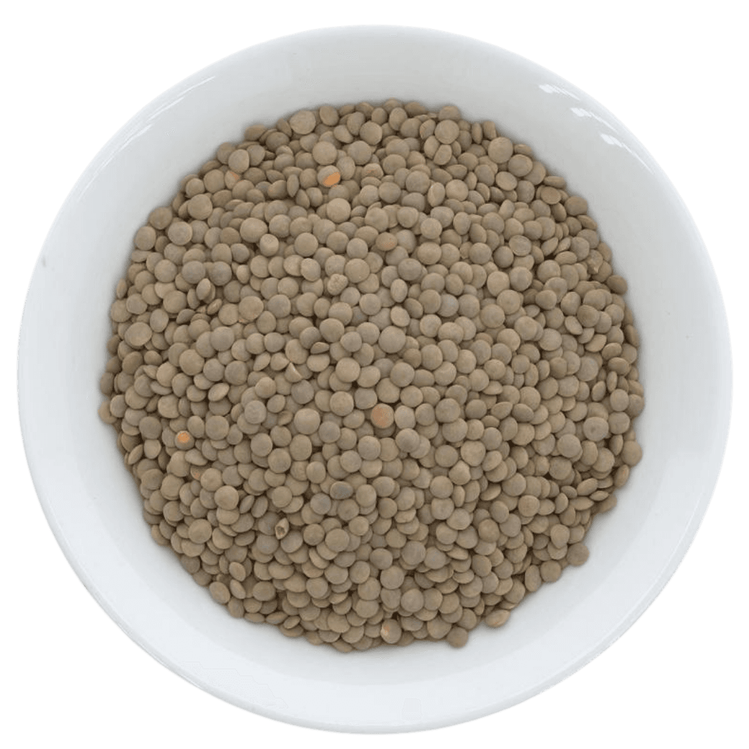 Organic Brown Lentils