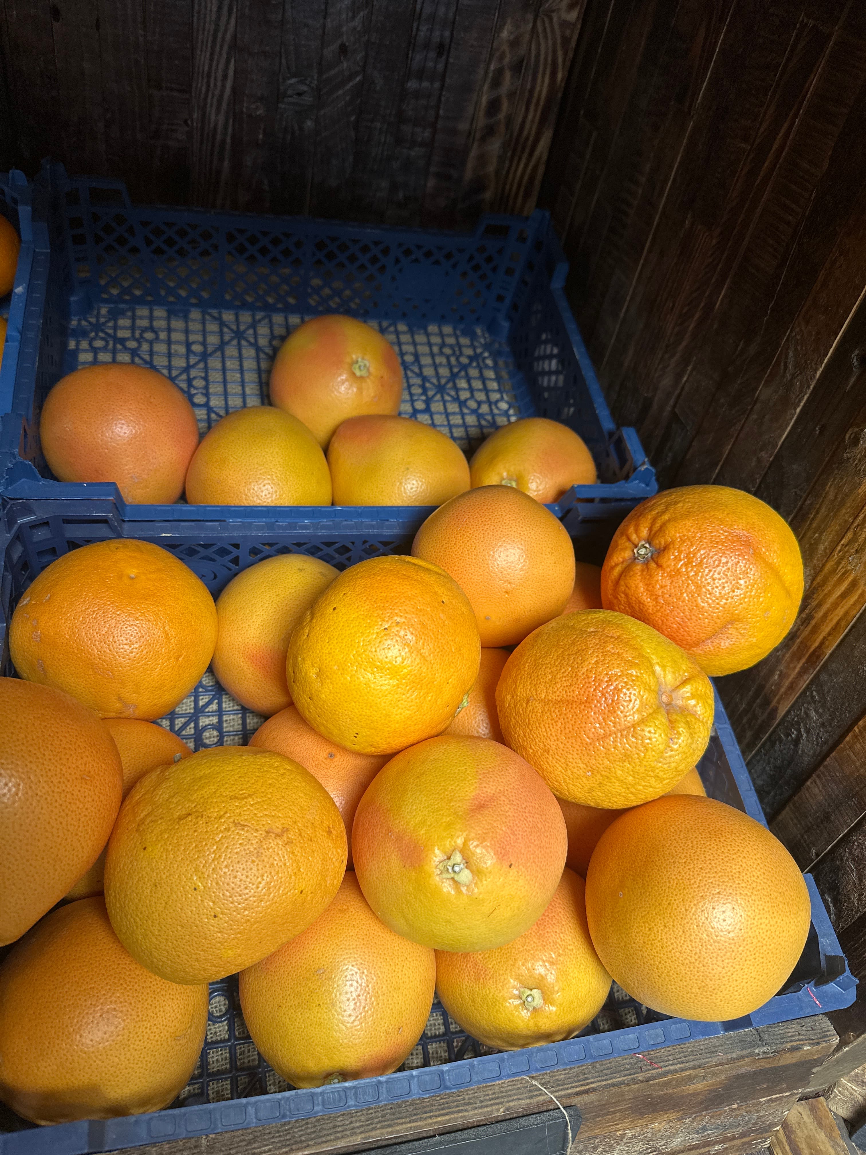 Grapefruit