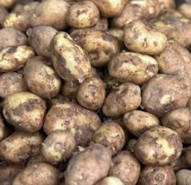 Lincolnshire Potatoes