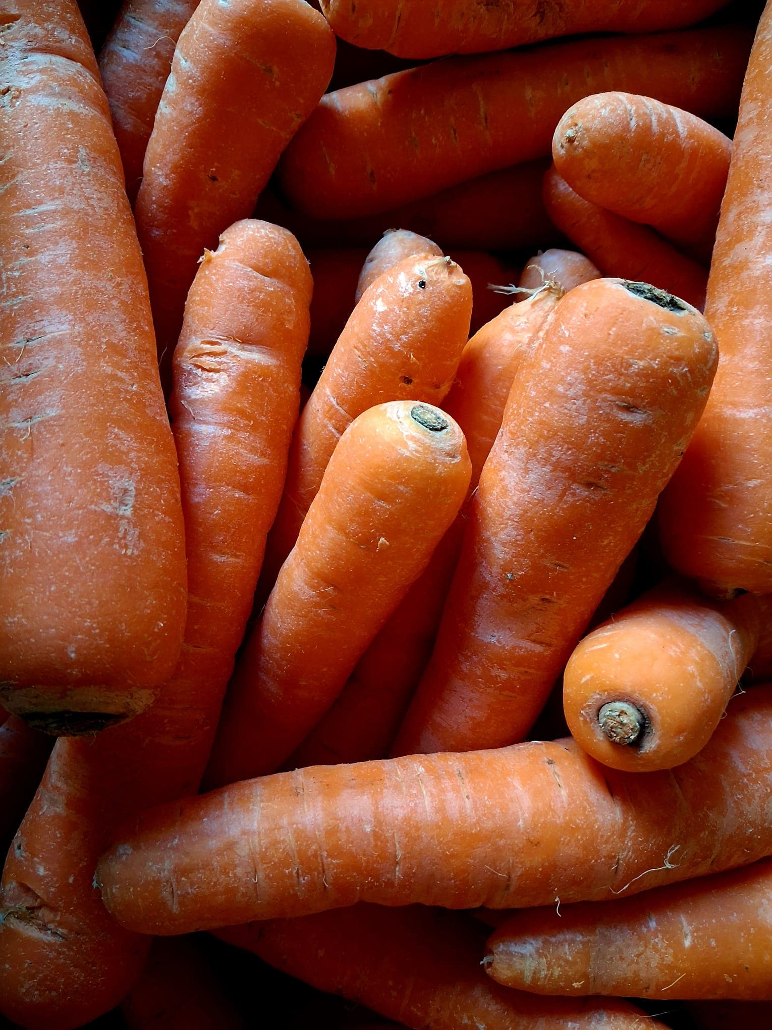 English Carrots