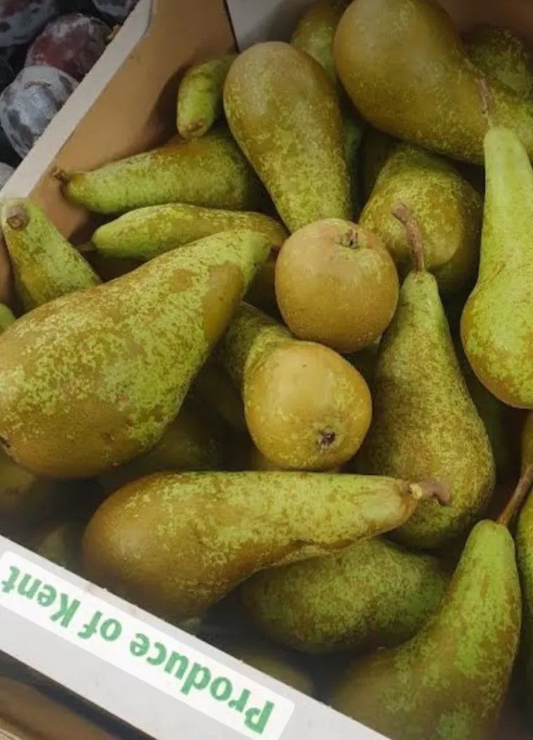 Conference Pears