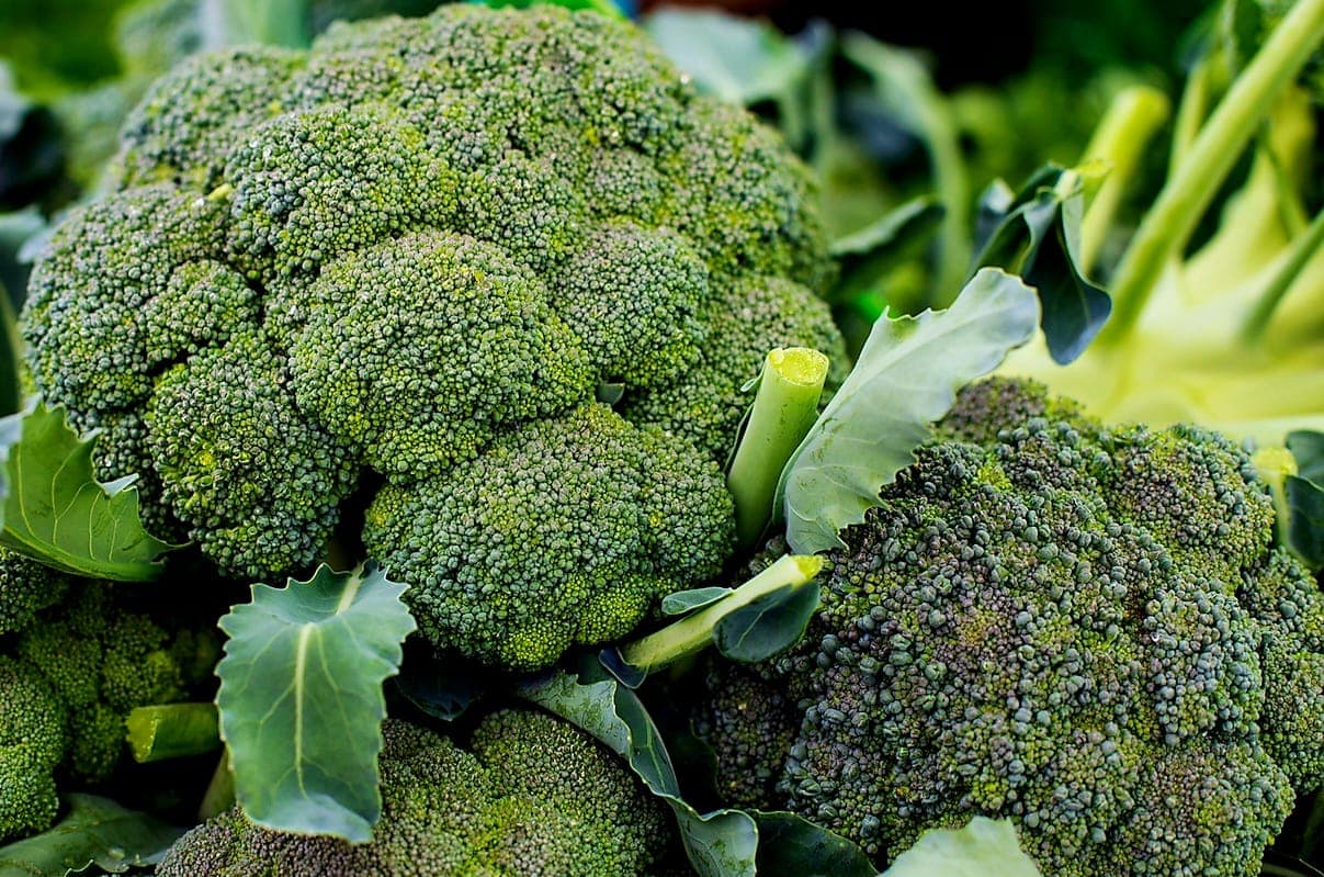 Organic Broccoli