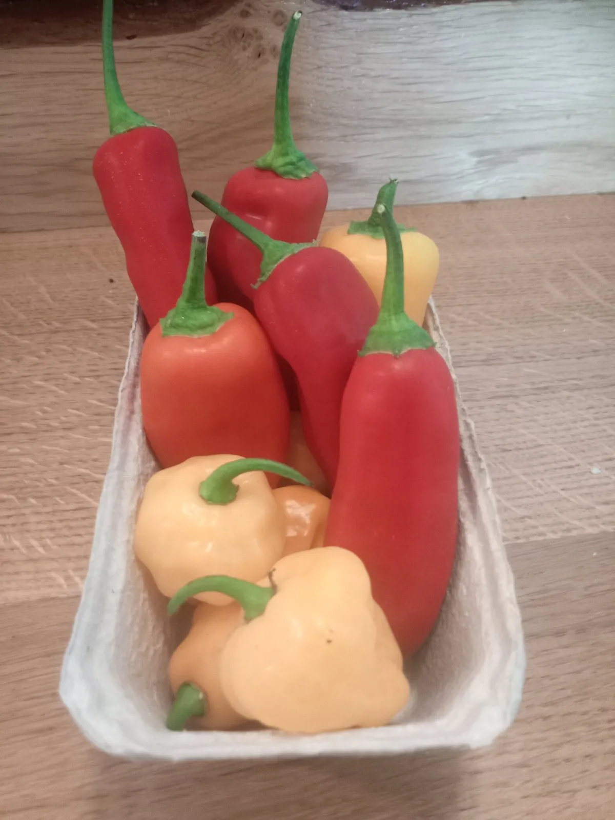 Sweet Baby Pepper Selection