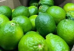 Limes