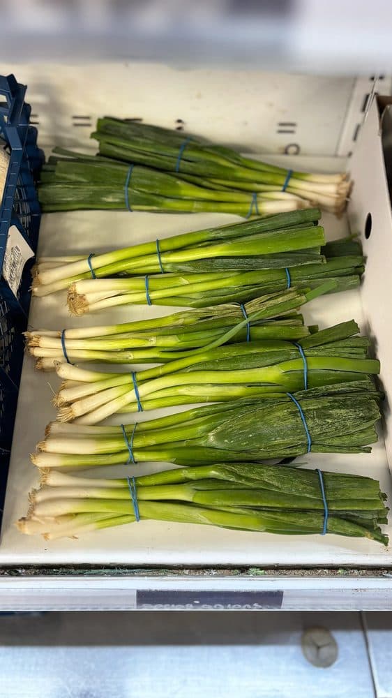 Spring Onion