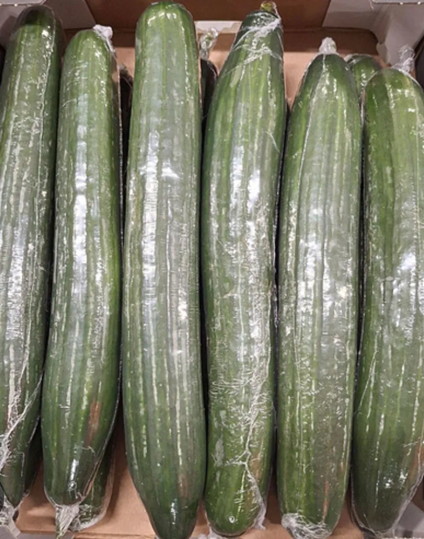 Cucumber –