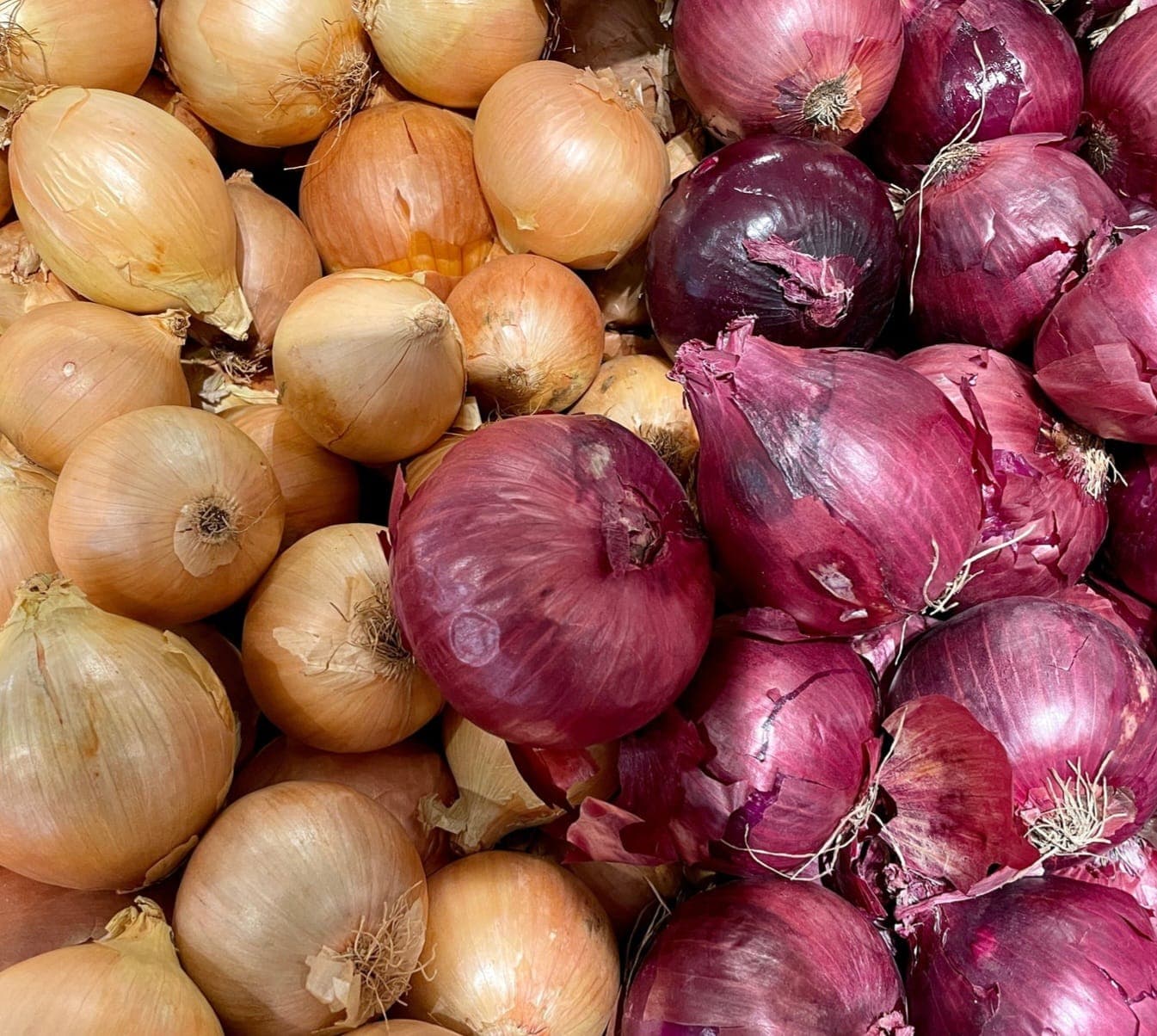 White & Red Onion Mix