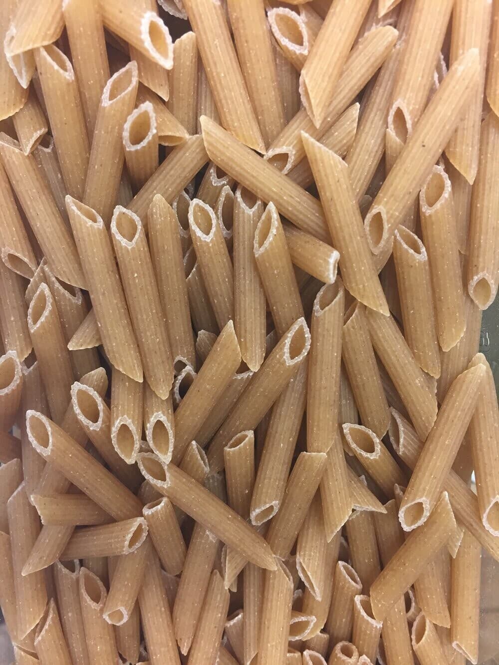 Organic Wholewheat Penne