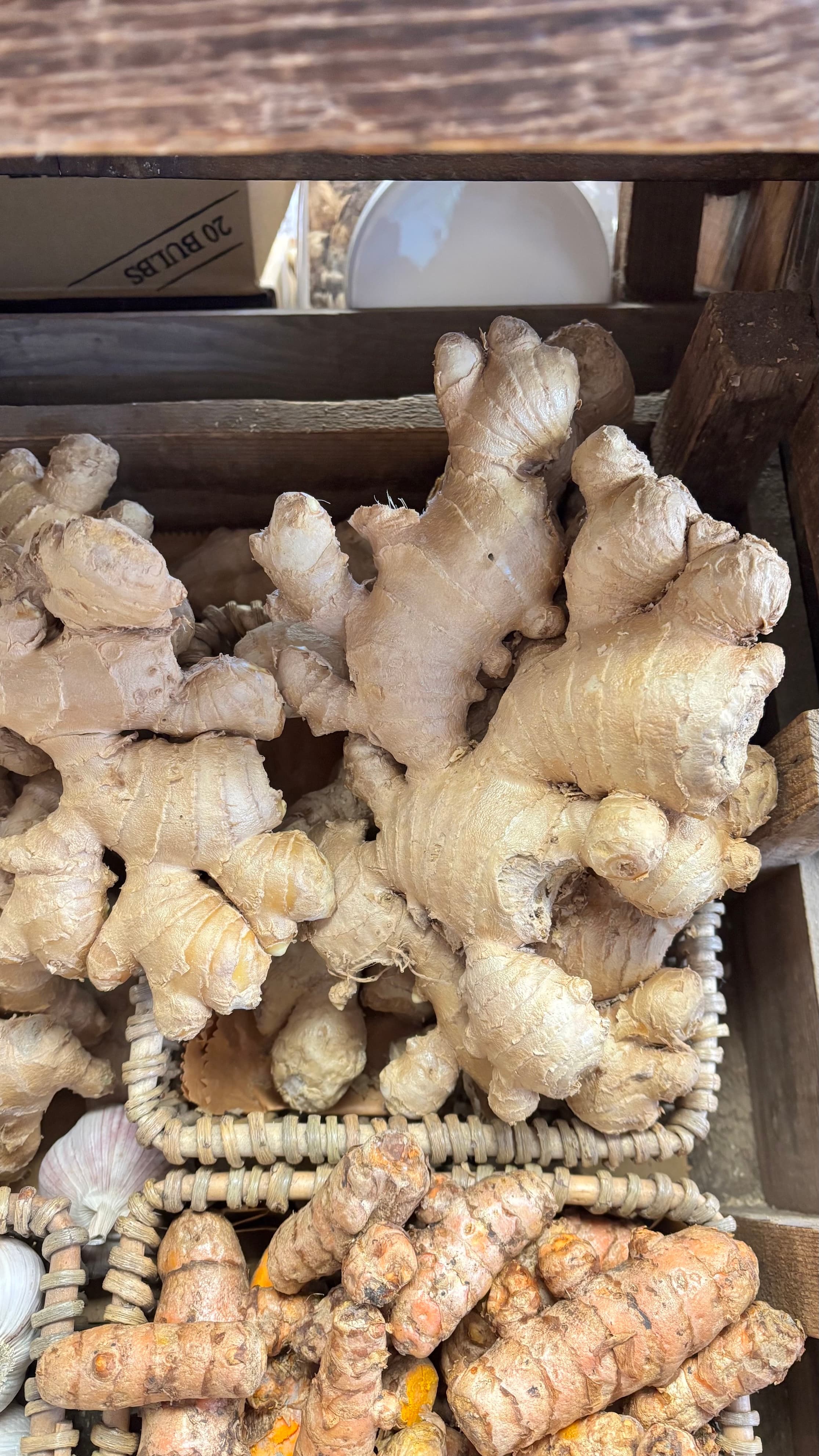 Ginger