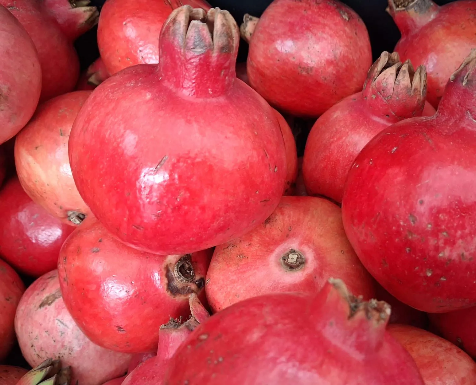 Pomegranate