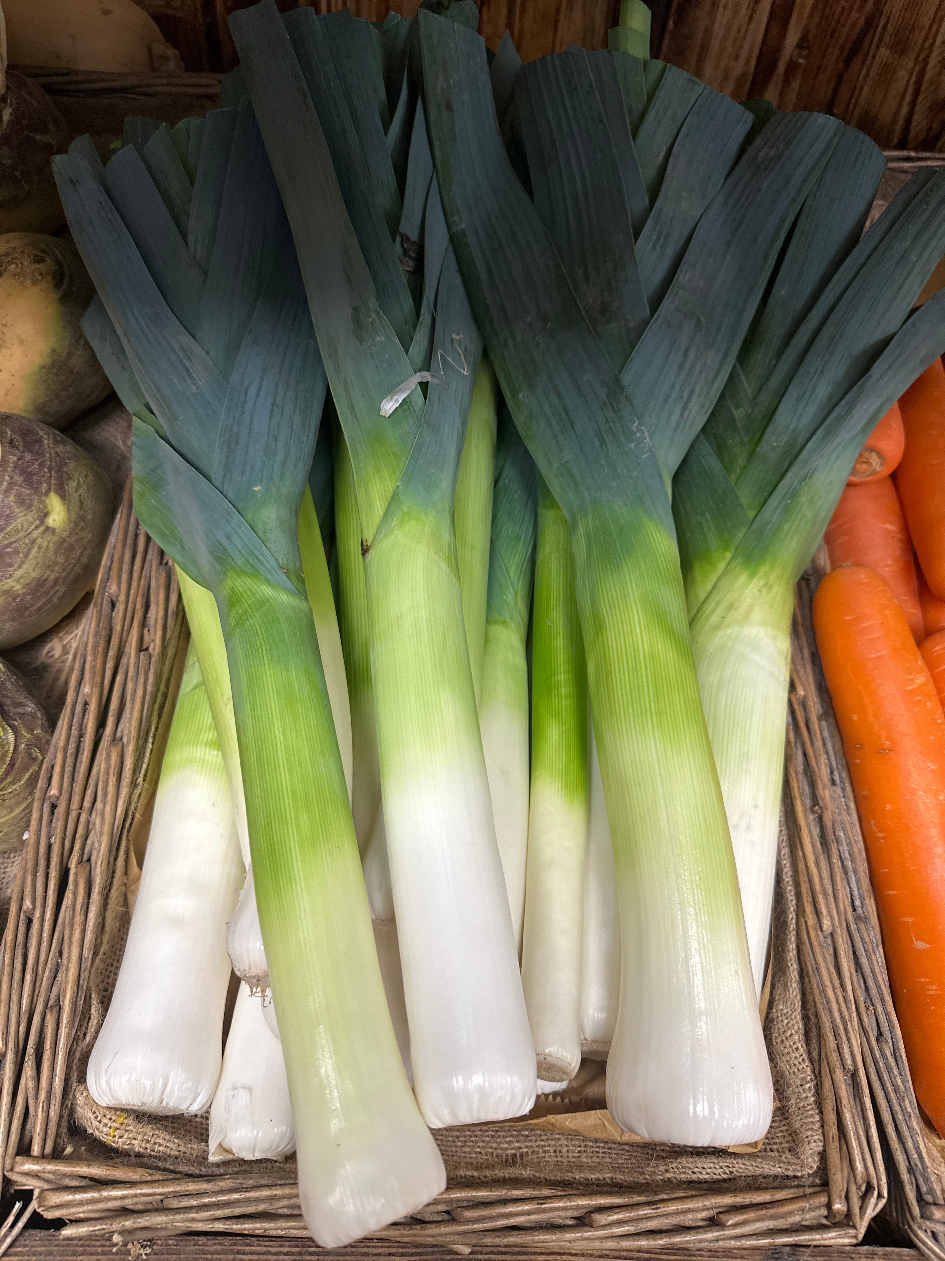 Leek