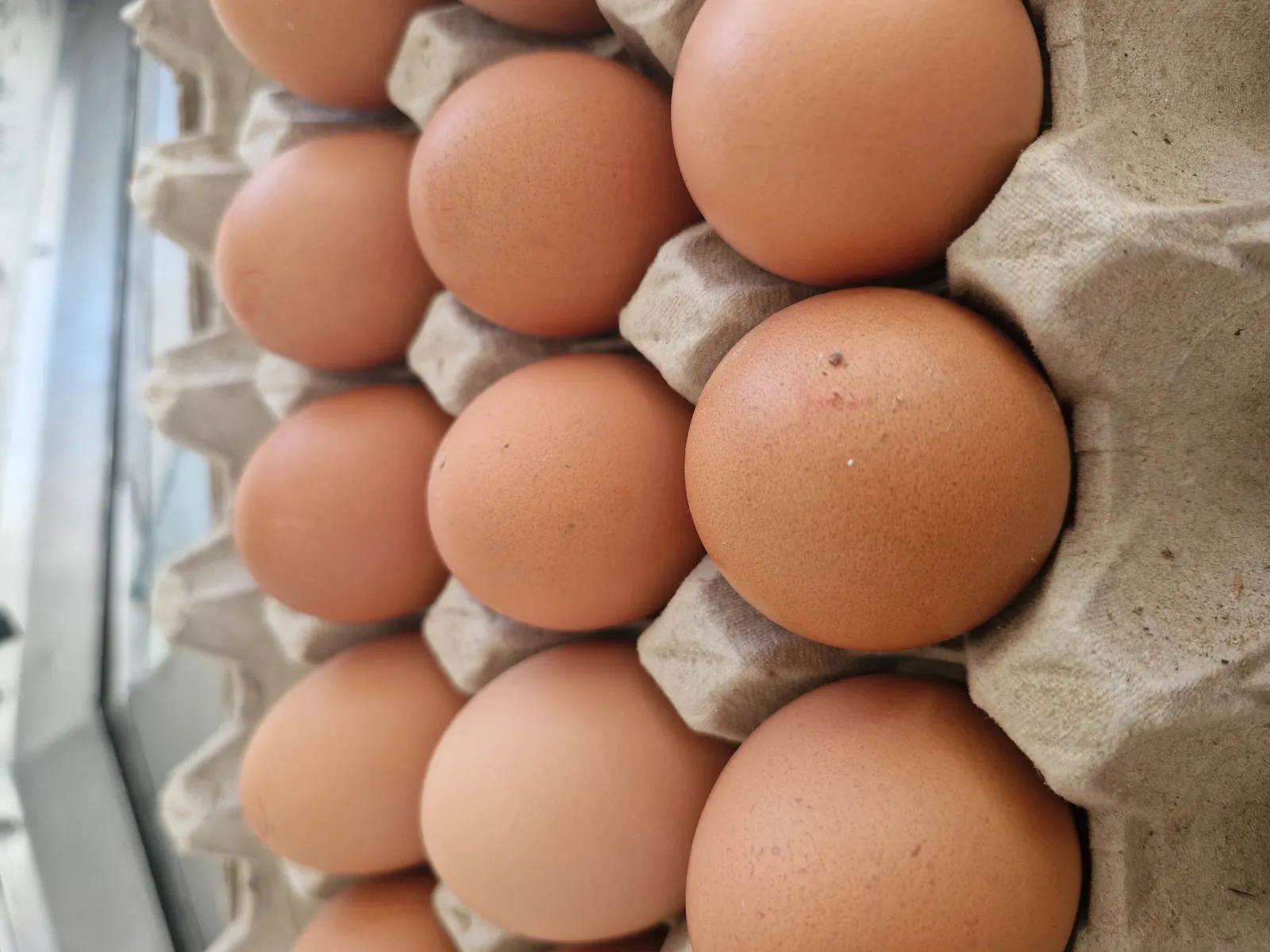Farm fresh free range egg's