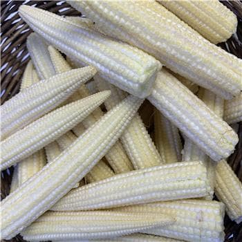 Babycorn