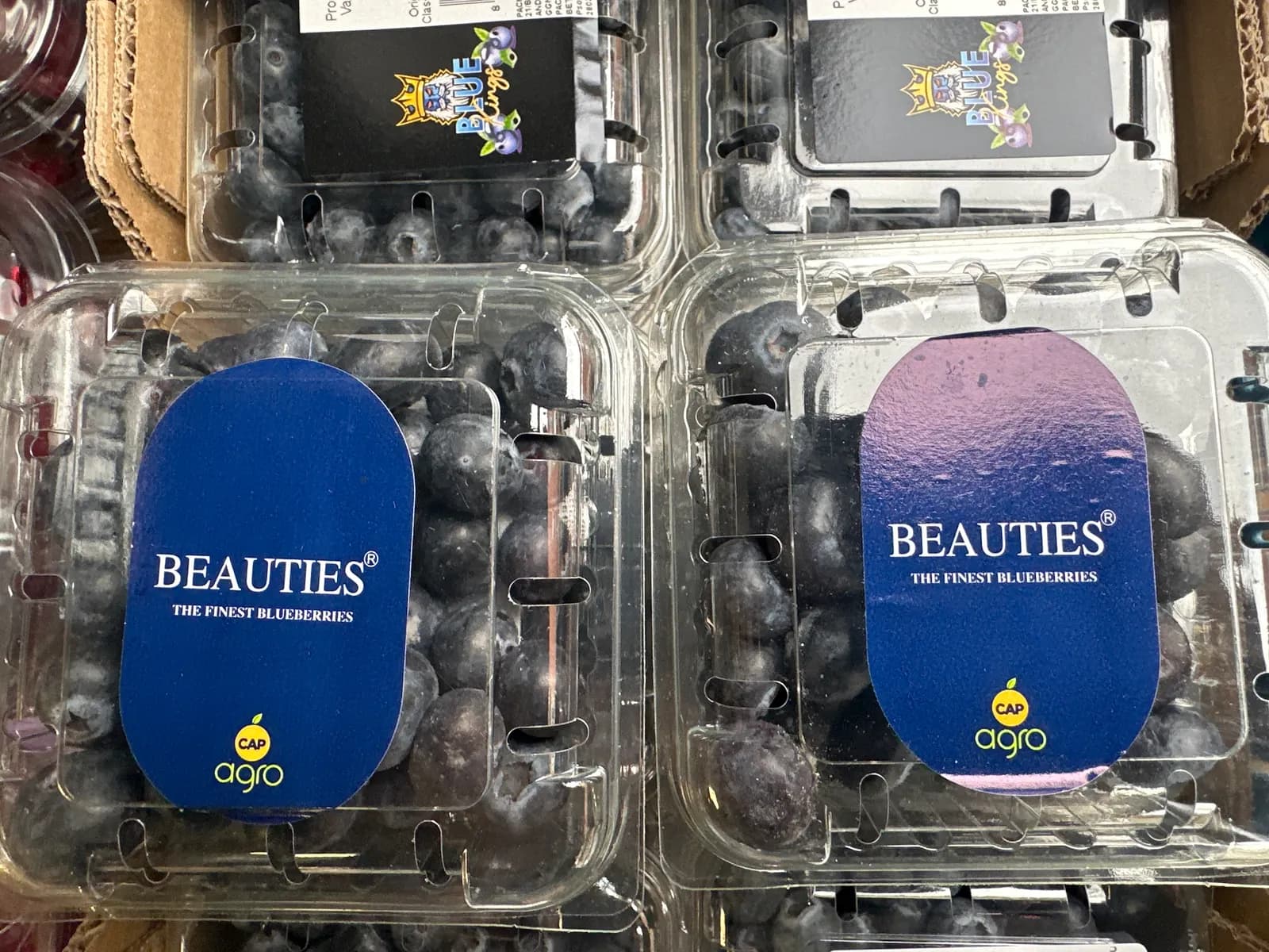 Blueberries