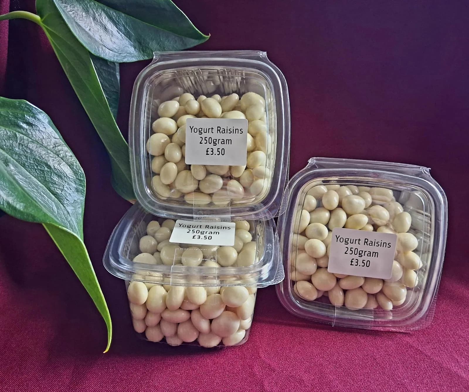 Yogurt Raisins