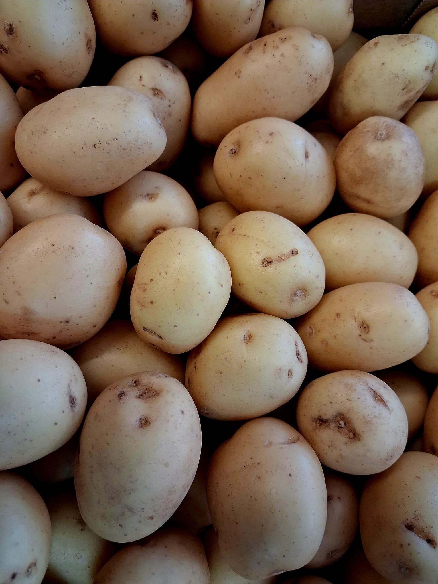 Baby English New Washed Potatoes