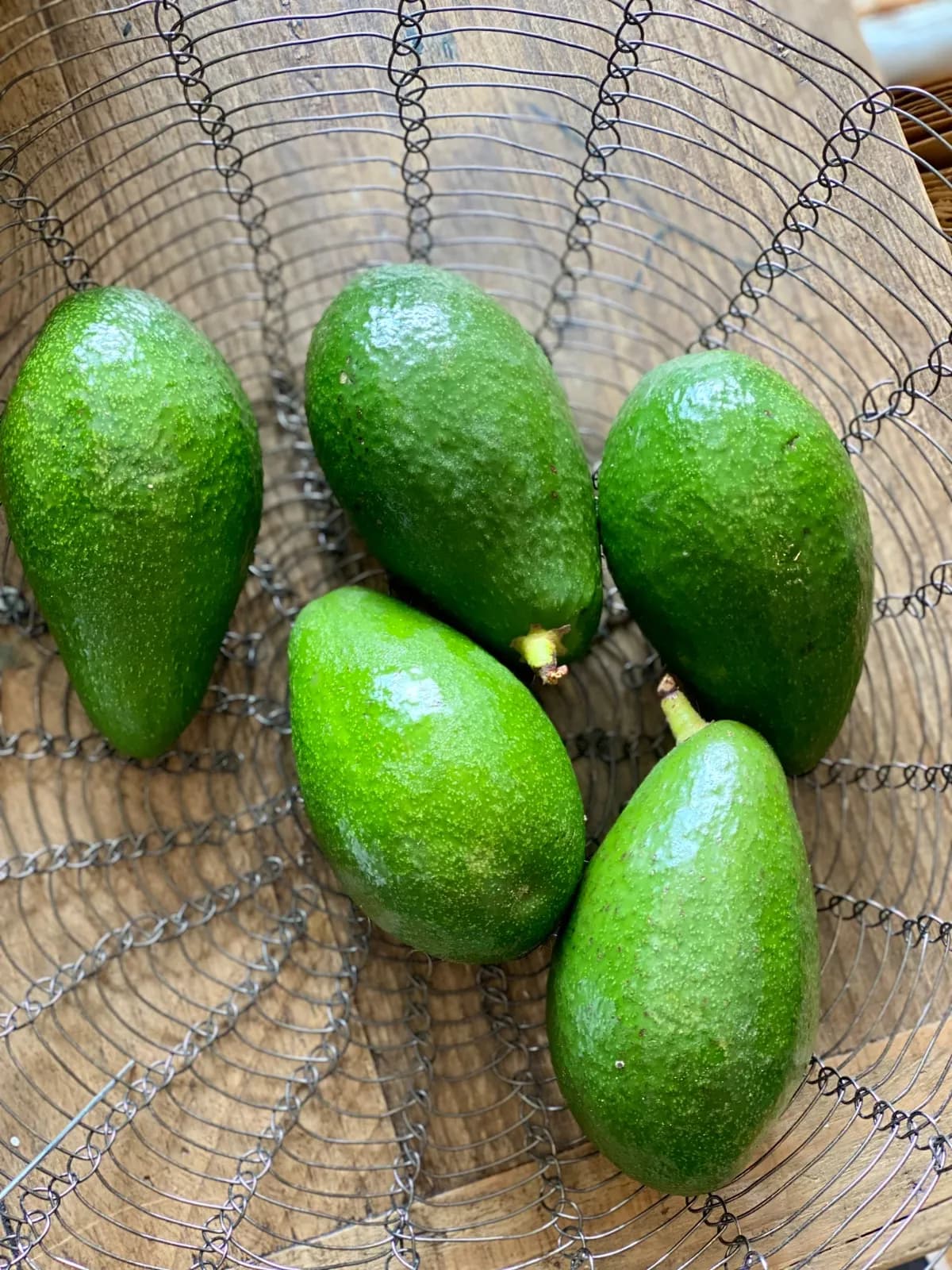 Organic Bacon Avocados